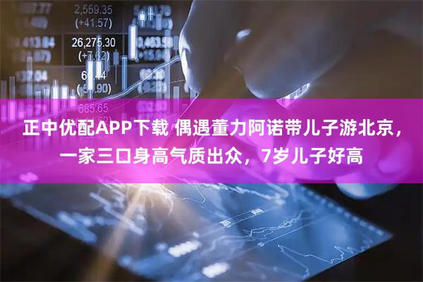 正中优配APP下载 偶遇董力阿诺带儿子游北京，一家三口身高气质出众，7岁儿子好高