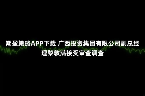 期盈策略APP下载 广西投资集团有限公司副总经理黎敦满接受审查调查