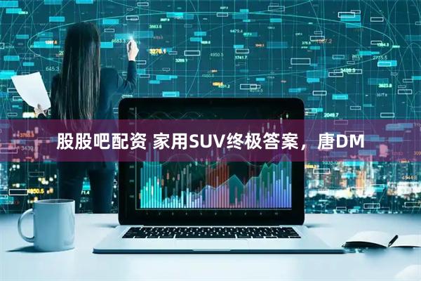 股股吧配资 家用SUV终极答案，唐DM