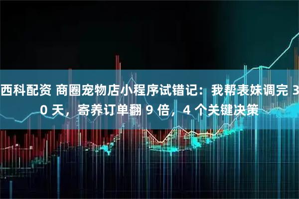 西科配资 商圈宠物店小程序试错记：我帮表妹调完 30 天，寄养订单翻 9 倍，4 个关键决策